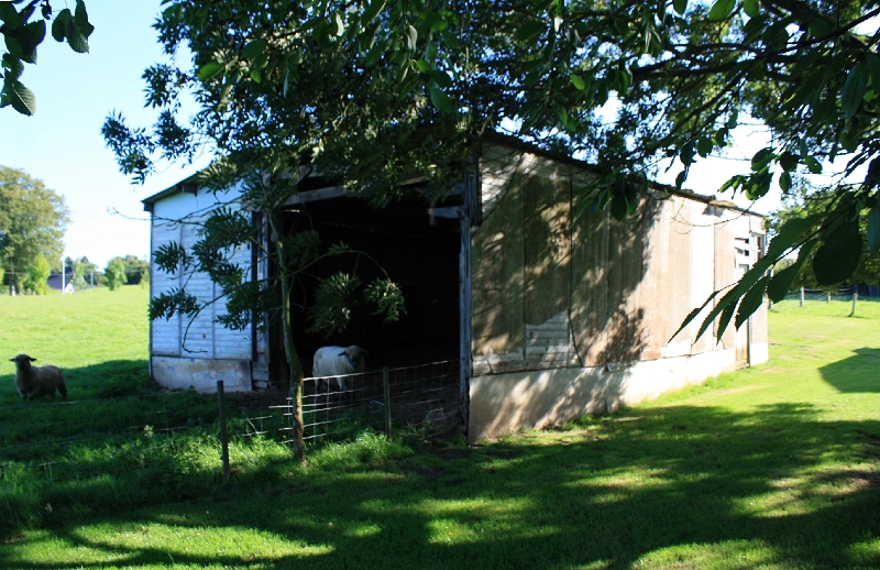 20110816 Boquet Bosquet Buildings 124.jpg